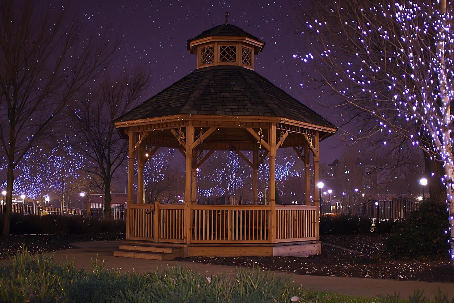 A gazebo in a park at night with lights on it photo