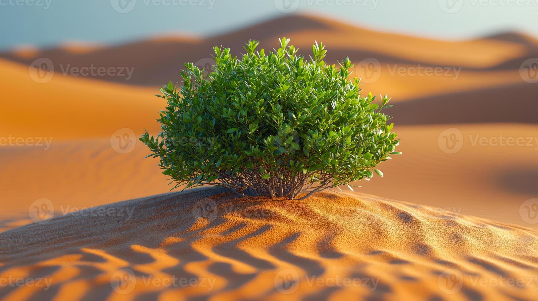 Green bush thrives in desert. A small green bush stands resiliently amidst golden desert sand dunes, showcasing natures beauty in harsh conditions. photo