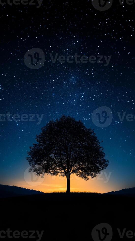 Night sky and silhouette of a tree. A large tree stands against a starry sky at dusk, highlighting the beauty of nature as day turns to night. photo