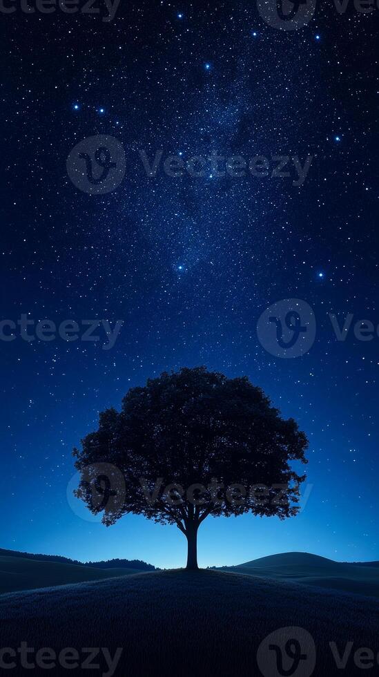 Stars behind a tree at night. A solitary tree stands silhouetted against a bright starry sky just after sunset in a tranquil landscape. photo