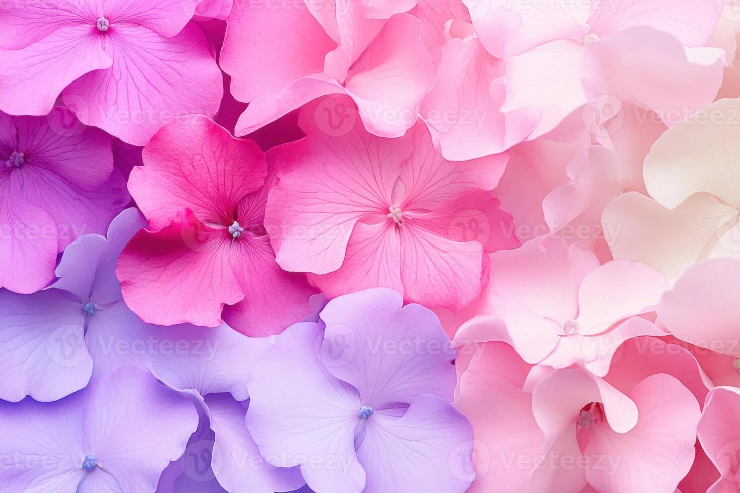 Vibrant close-up of blooming spring flowers in pink, fuchsia, and lilac hues with soft natural lighting showcasing rich texture photo
