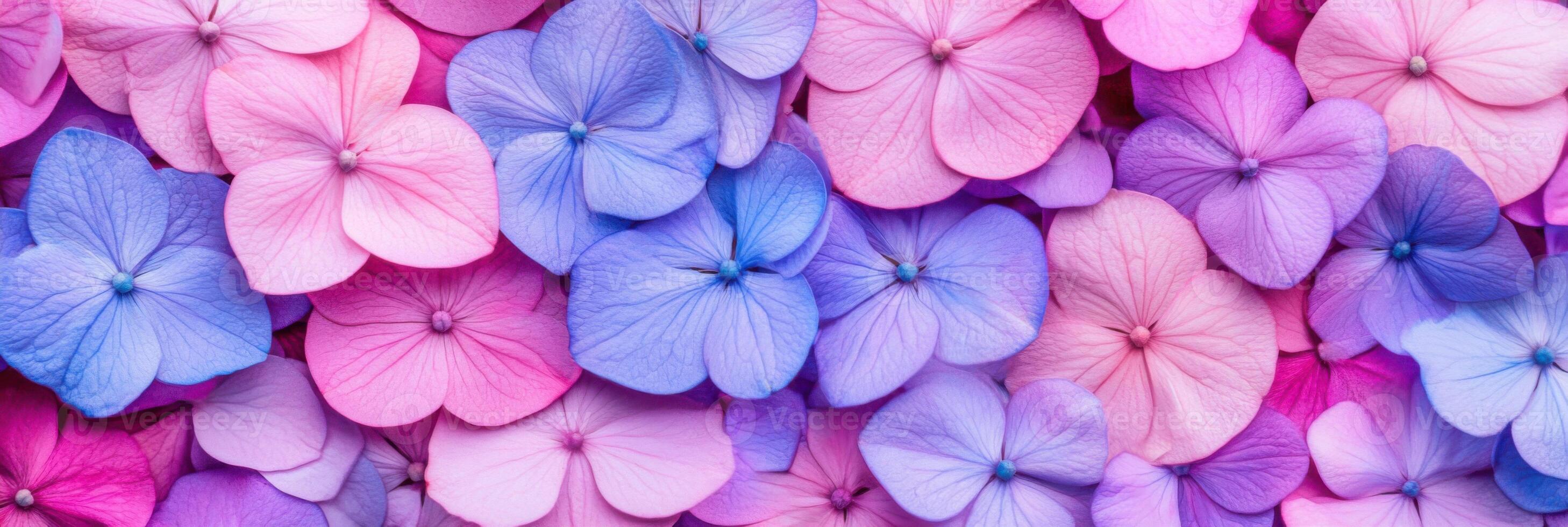 Vibrant close-up of blooming spring flowers in pink, fuchsia, and lilac hues showcasing soft natural lighting and rich texture in a garden setting photo