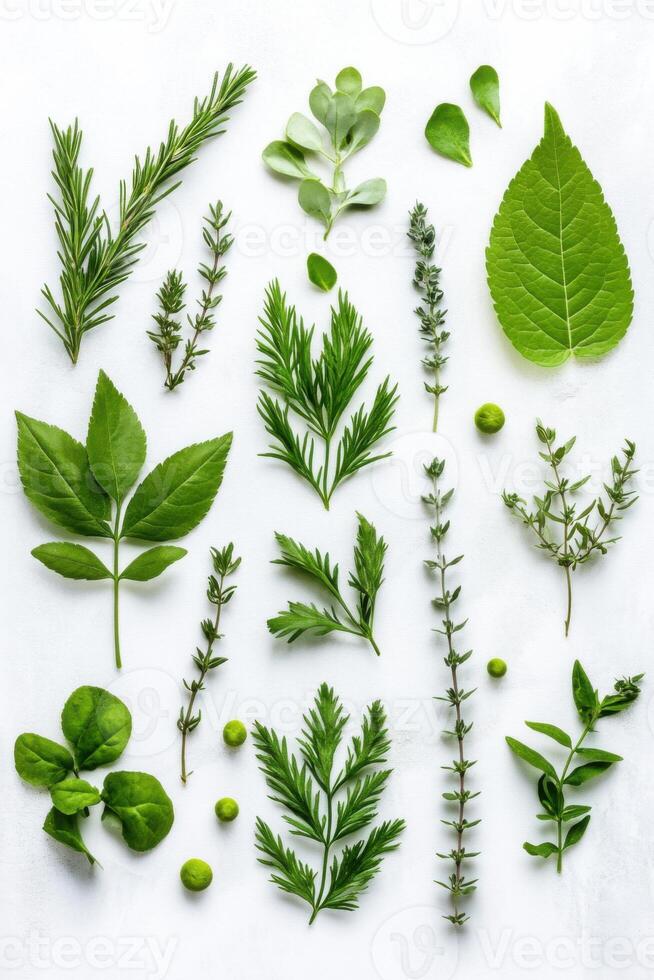 Flatlay of green botanical elements showcasing natural textures and minimalist arrangement with round and rectangular shapes photo