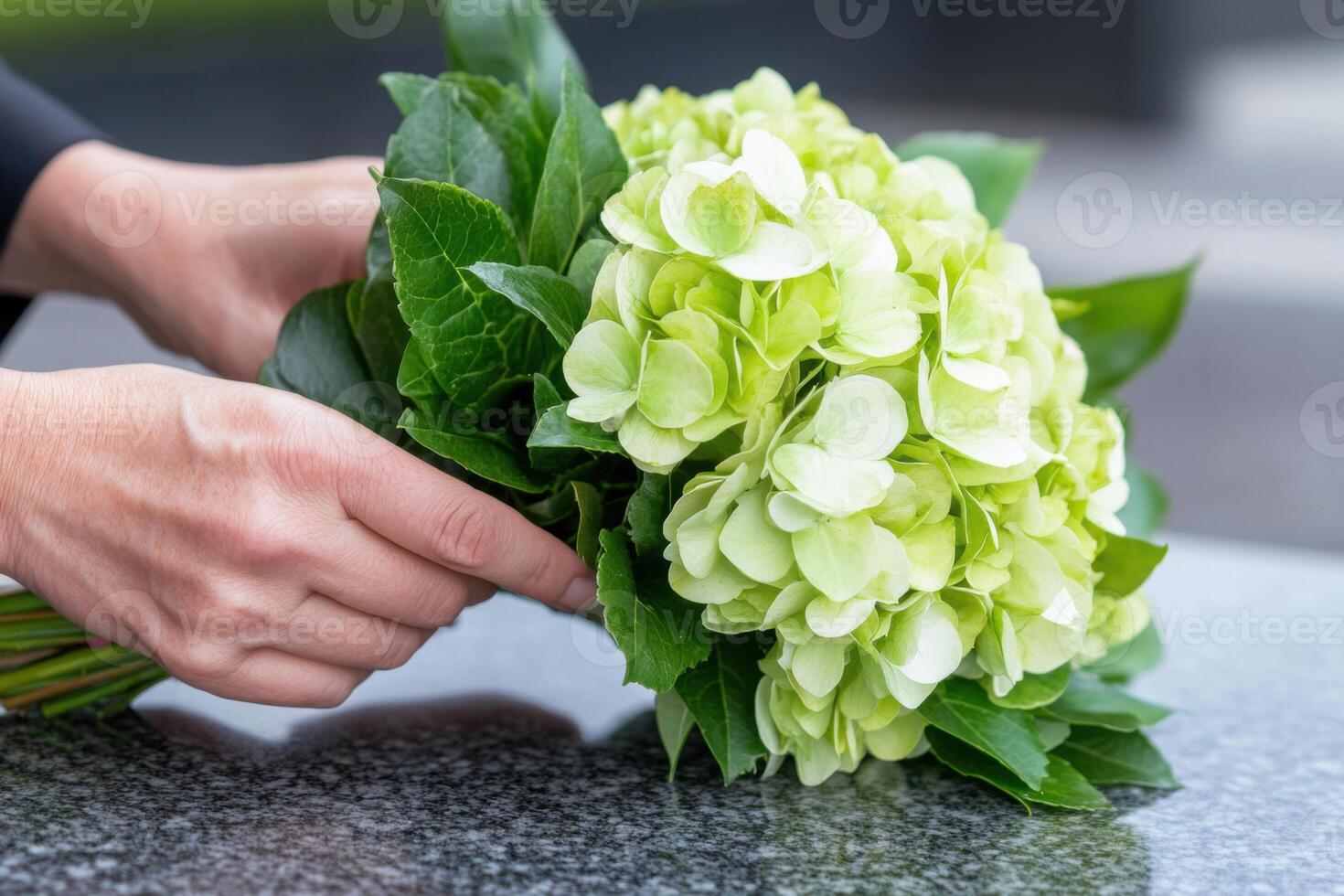 Hands placing green hydrangea bouquet on granite tombstone photo