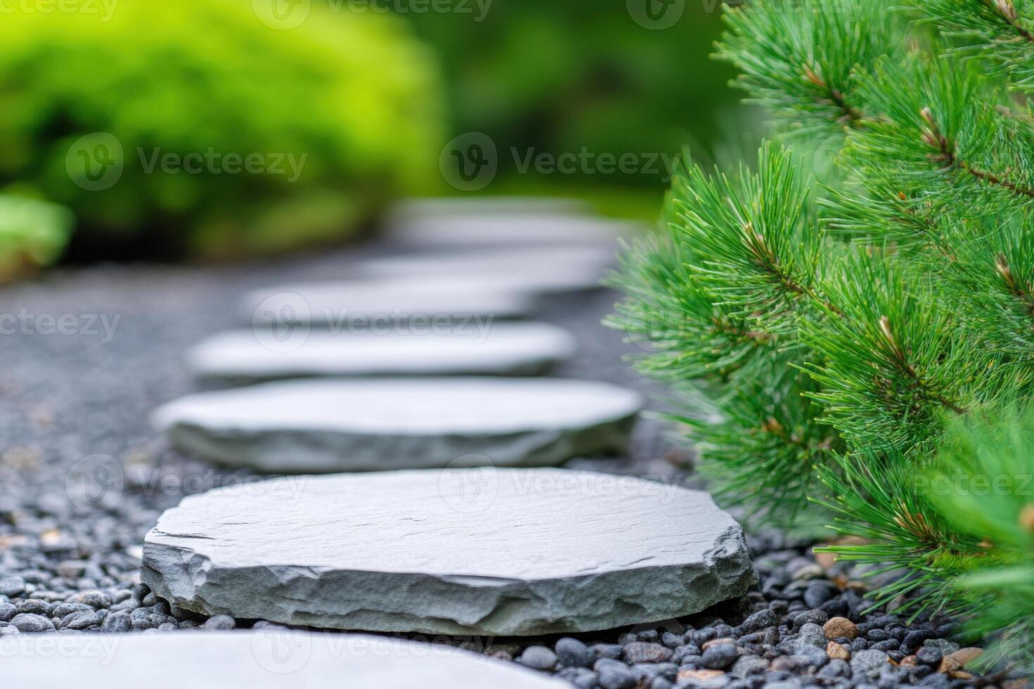 Stone path winding through a serene Japanese garden photo