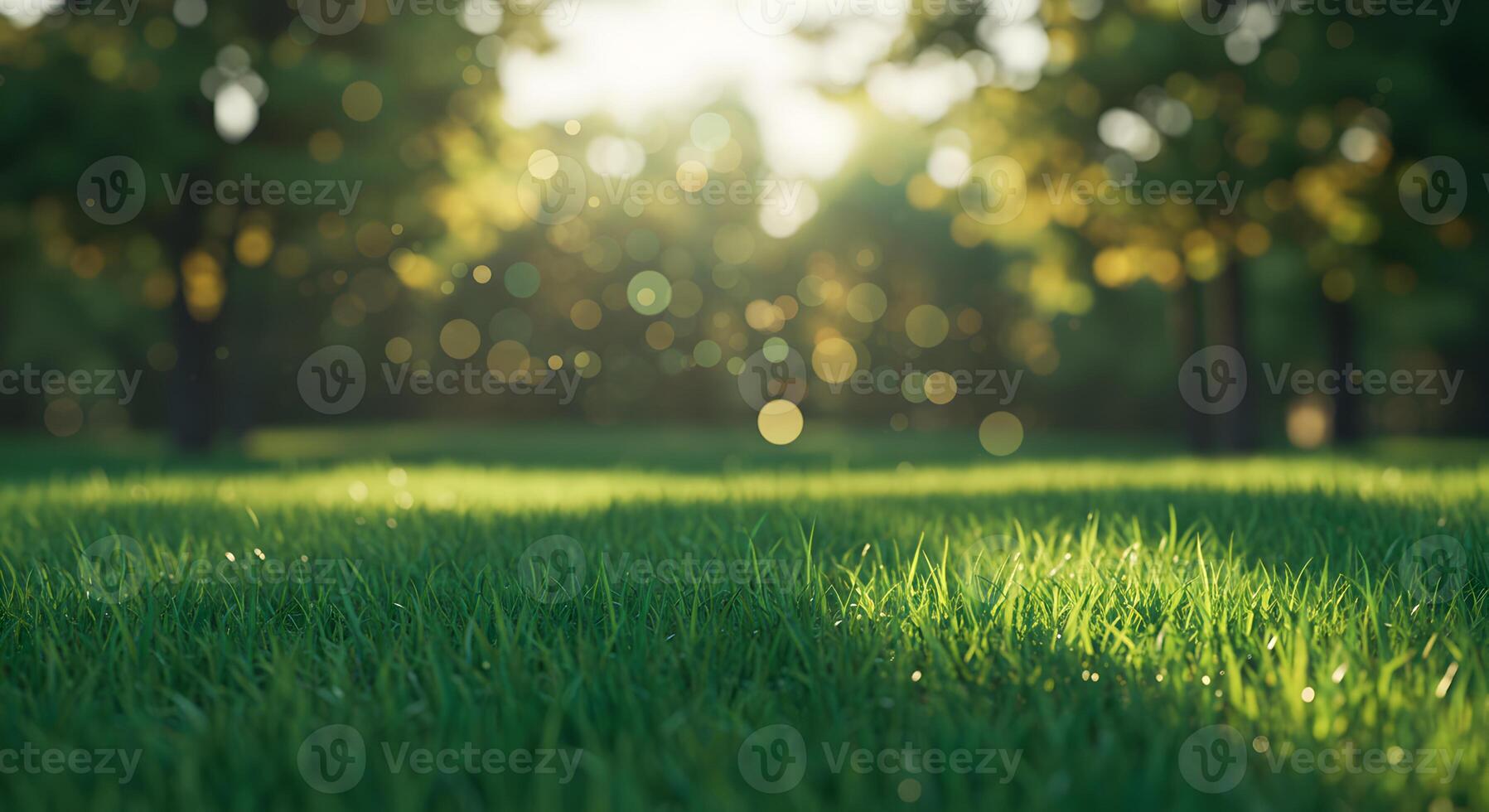 Lush Green Grass with Bokeh Sunlight Creating a Peaceful Atmosphere photo