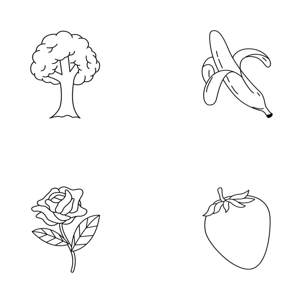 Outline Illustration Collection Of Tree Banana Rose And Strawberry On White Background vector