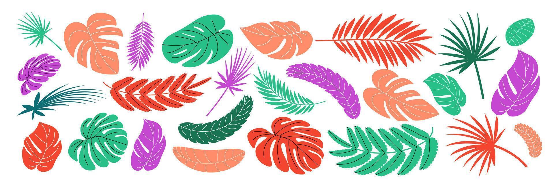 Set of tropical leaves. Collection foliage of jungle in flat style. illustration isolated on white background vector