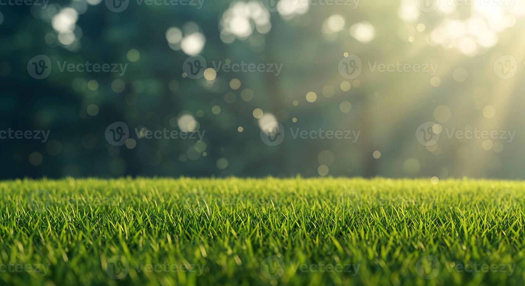 Serene green grass field with bokeh lights and sun rays background photo