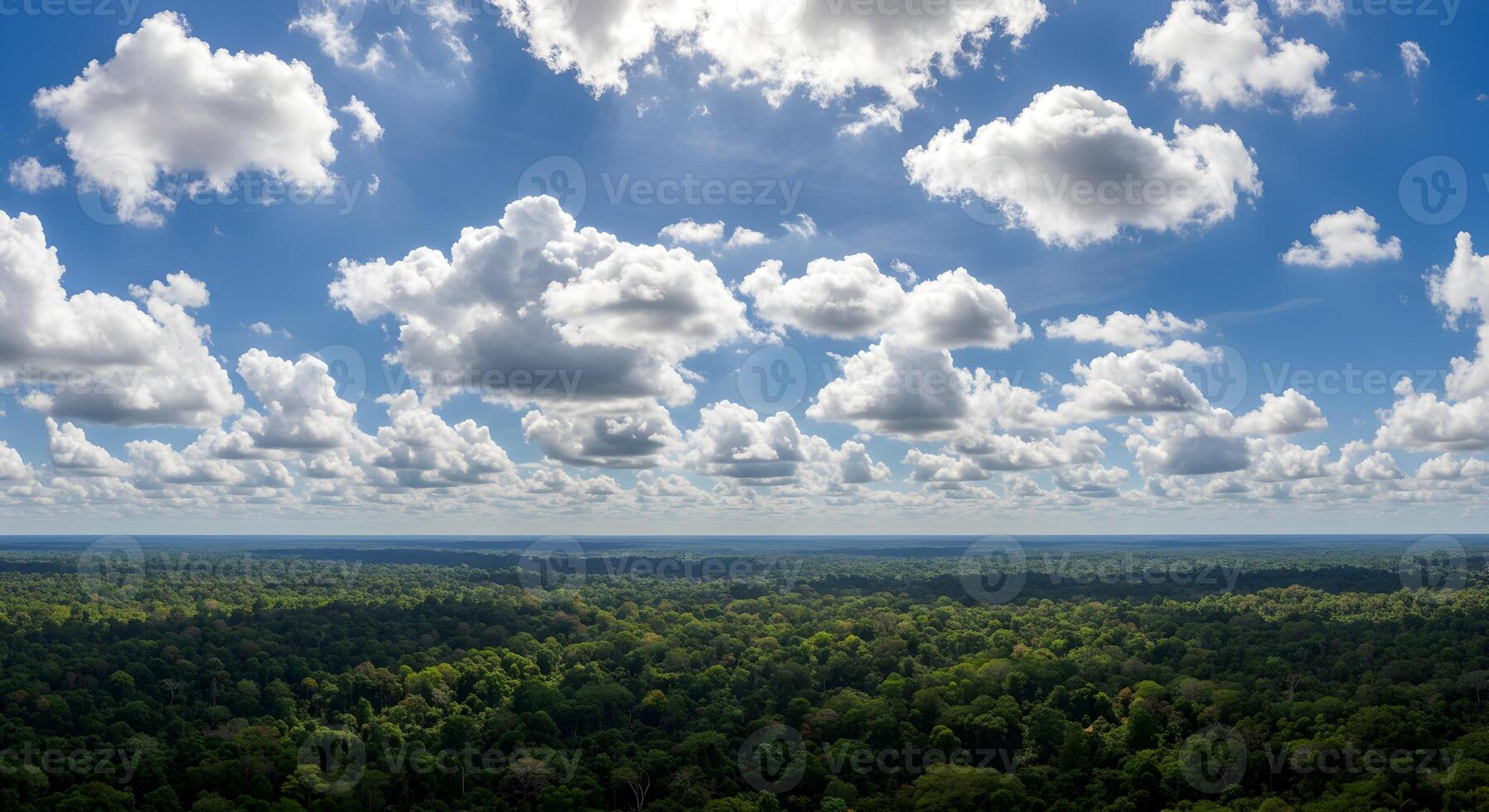 Breathtaking aerial view of the Amazon rainforest under a cloudy sky, highlighting the vastness and biodiversity of the area photo