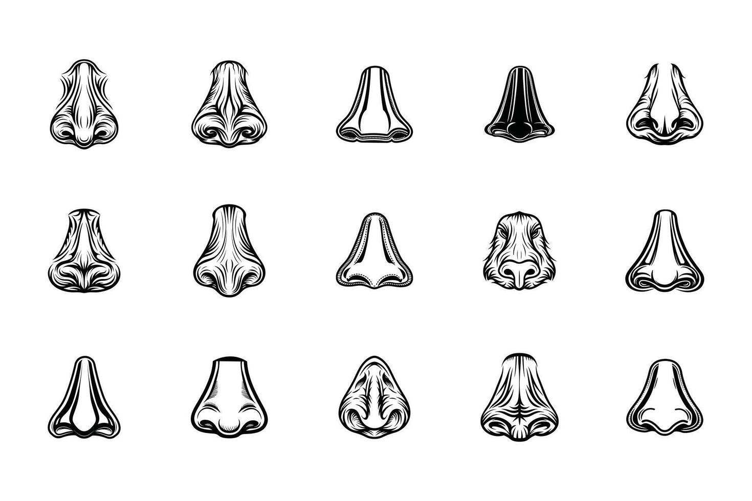 Understanding the Nose and Its Functions vector