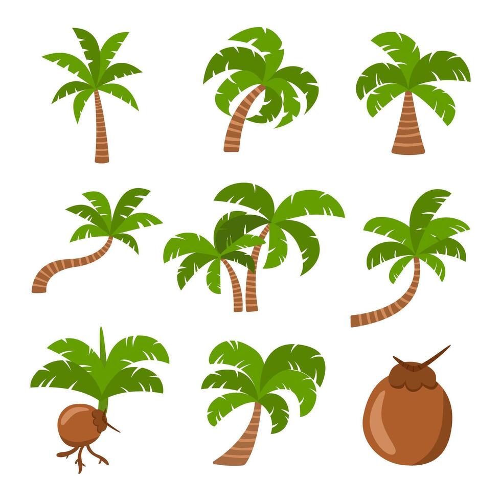 Collection of coconut trees. tree set isolated on white background vector