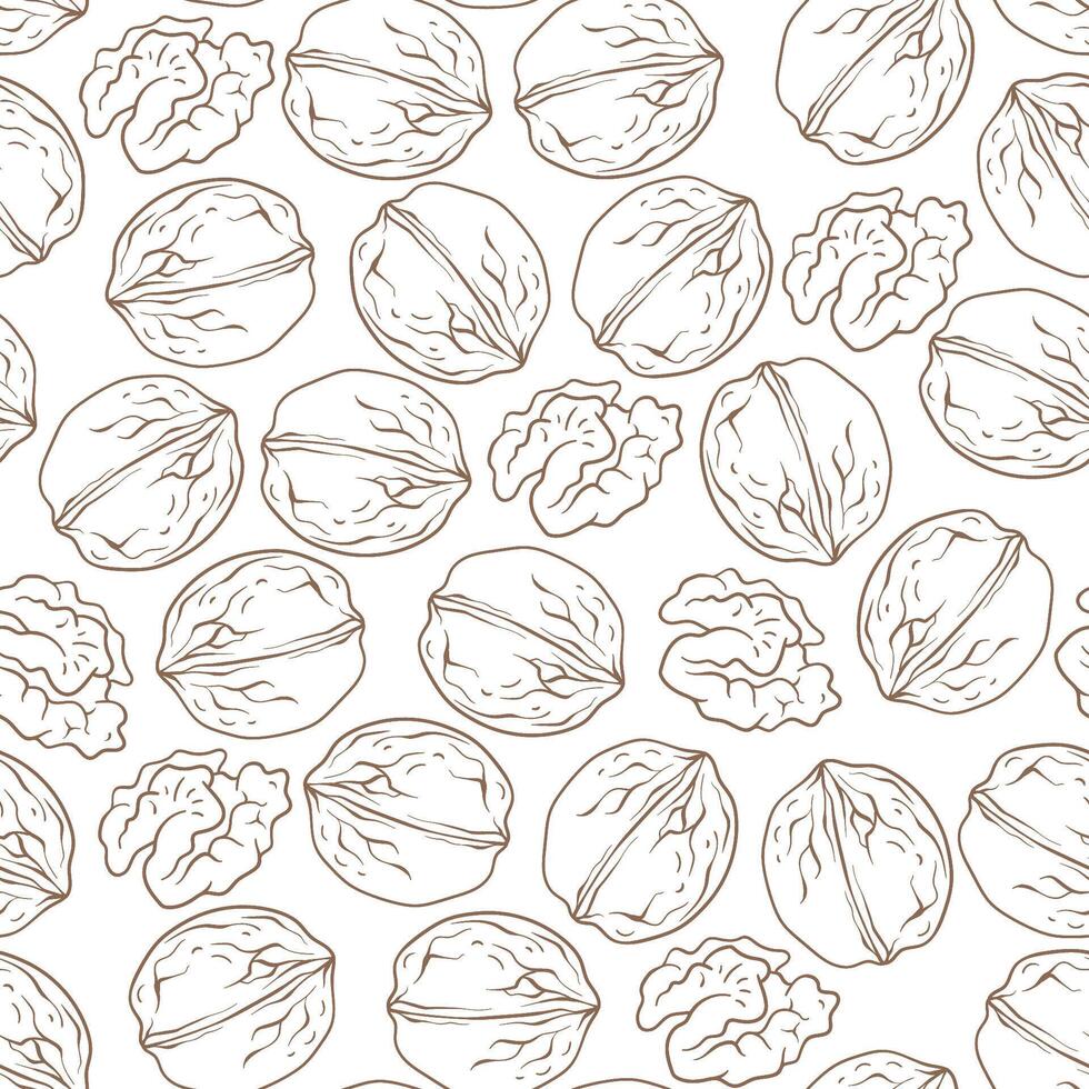 Seamless pattern with walnut, line art, hand-drawn illustration vector