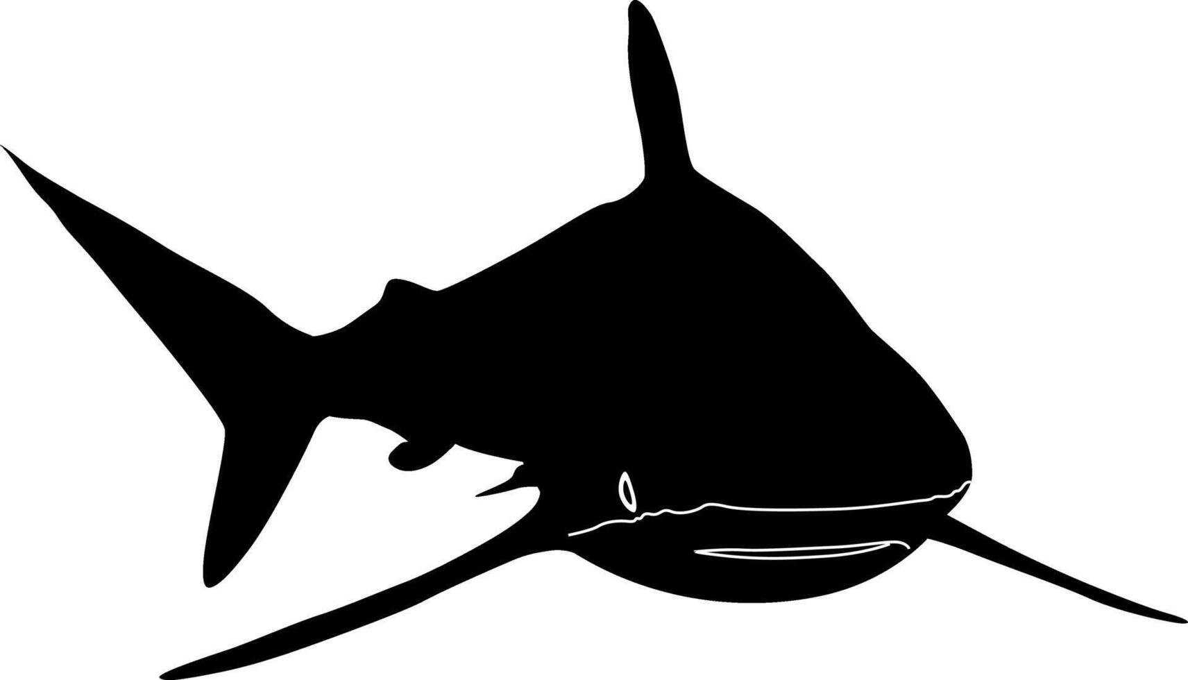 black sharkfish seabass on white background vector