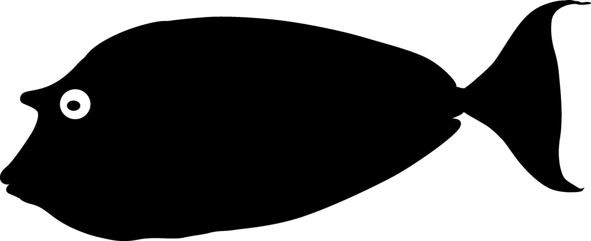 black salmon fish seabass on white background vector