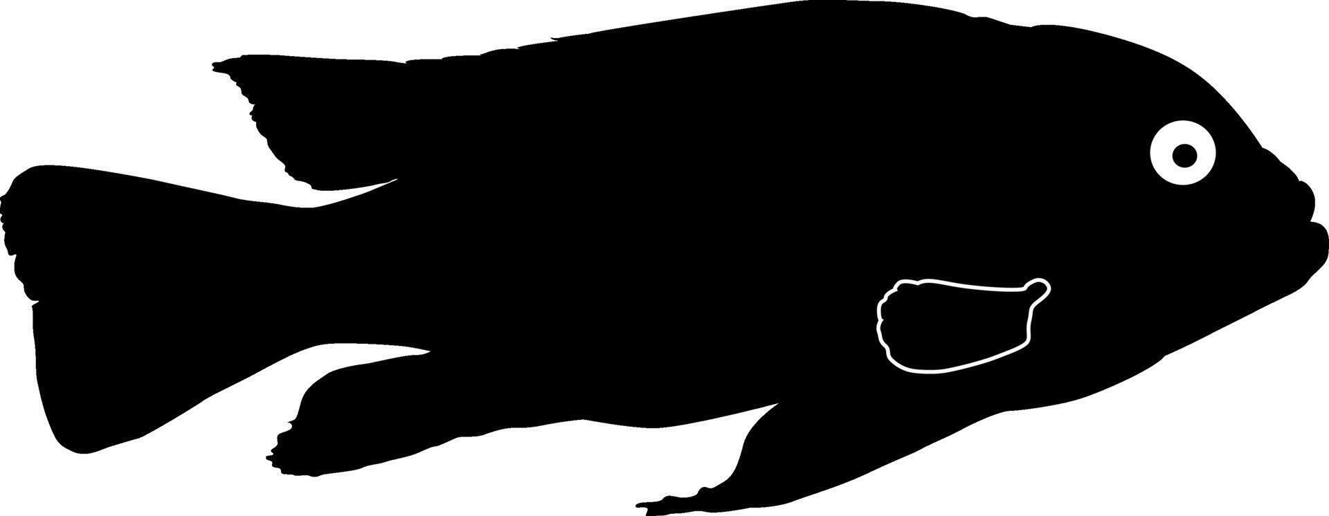 Silhouette of bonefish on white vector