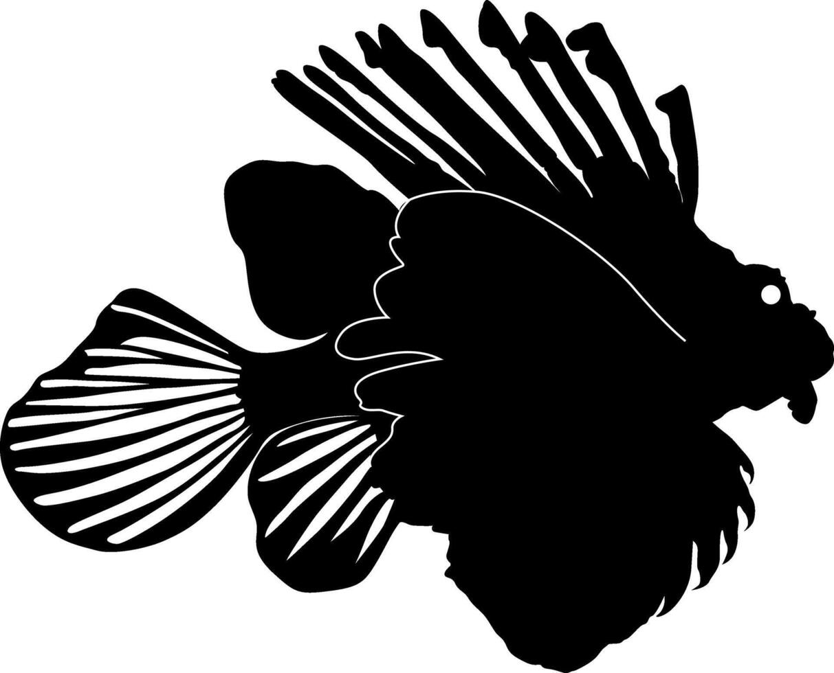 black fish white background vector