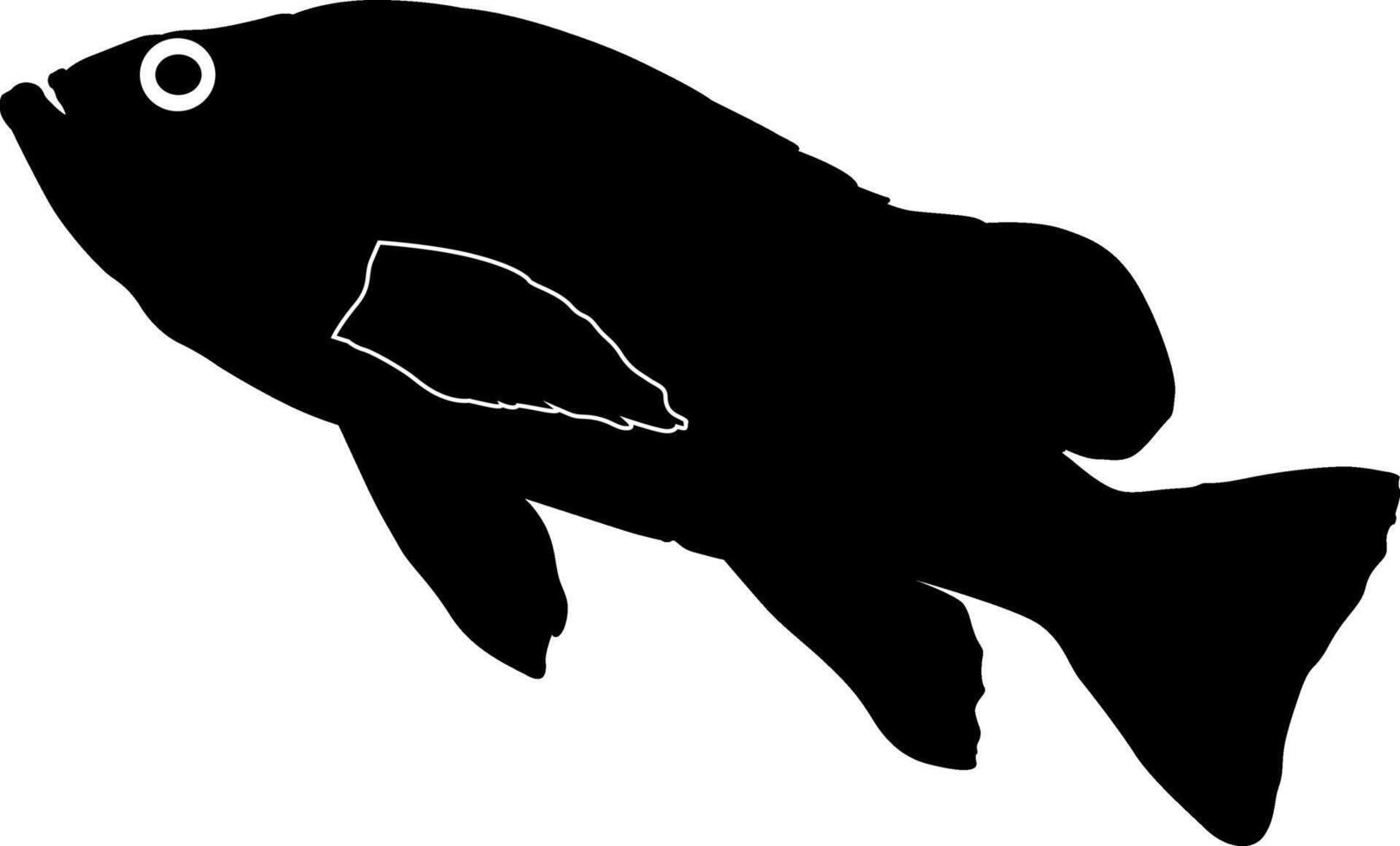 Silhouette of bonefish vector