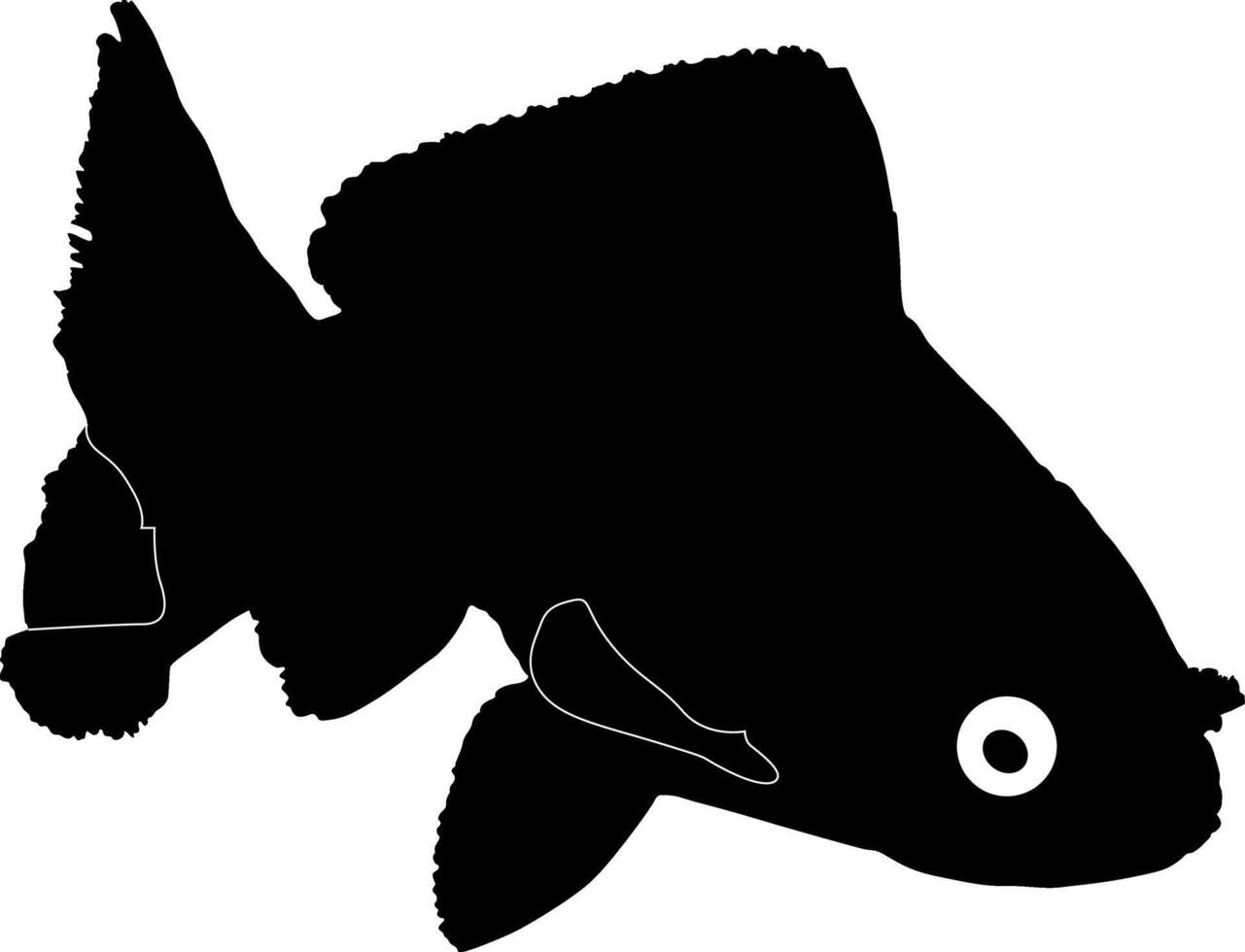 fish on white background vector