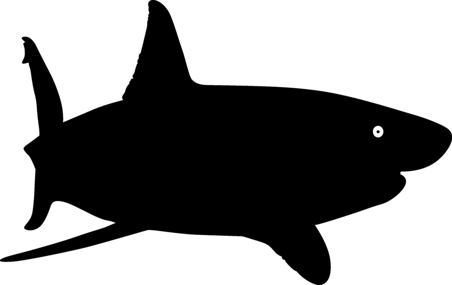Silhouette of a shark in black and white. vector