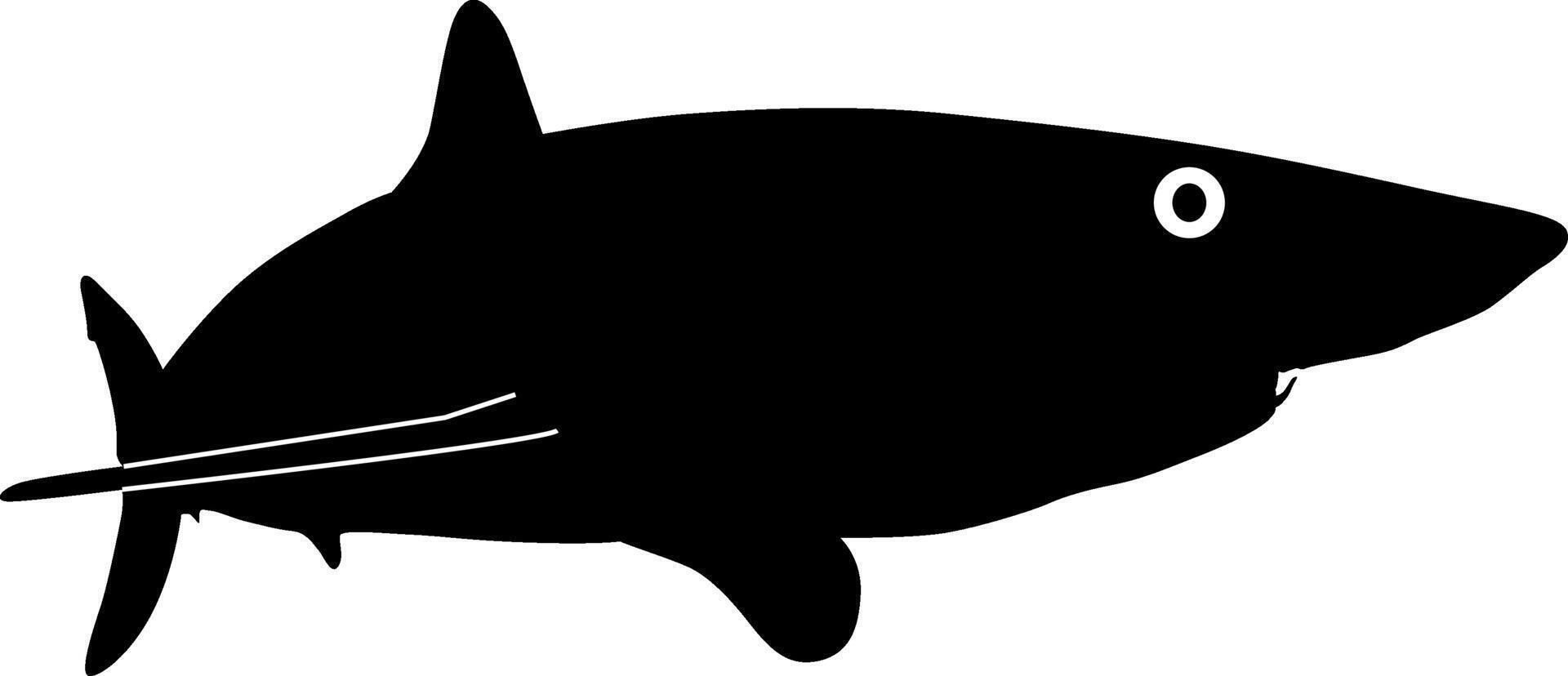 black shark fish seabass on white background vector