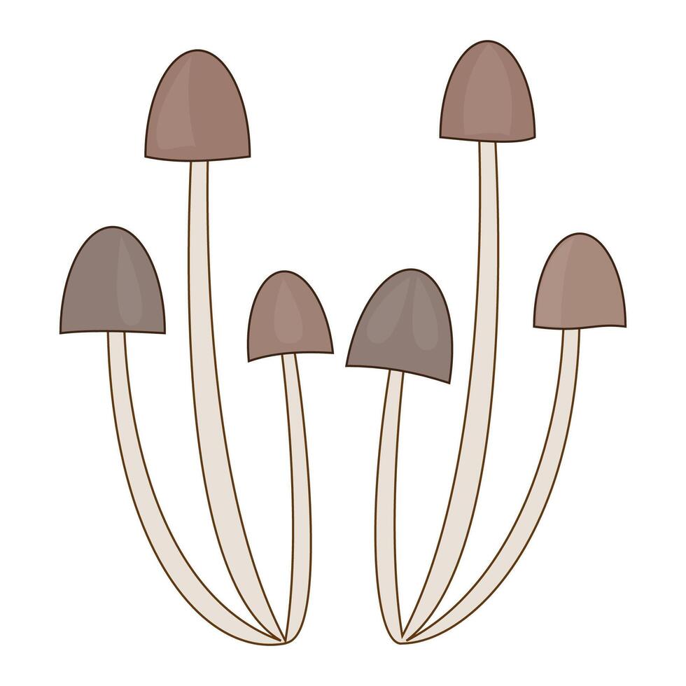 Cluster of tall brown mushrooms with slender stems. vector