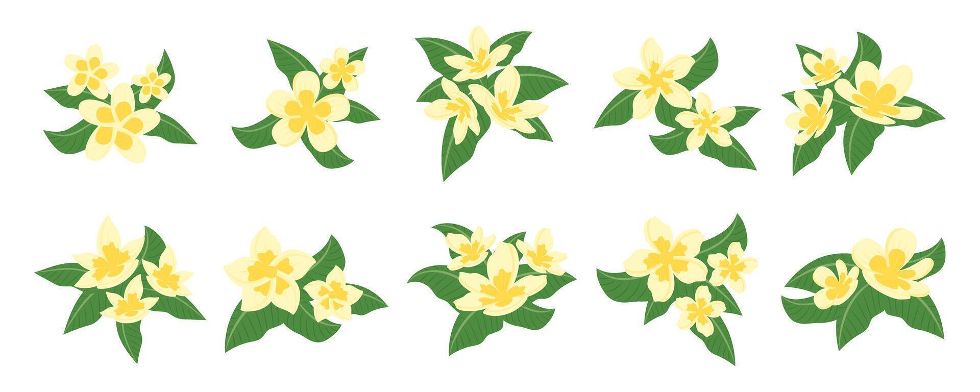 Balinese Floral With Leaves Illustration On White Background Set vector