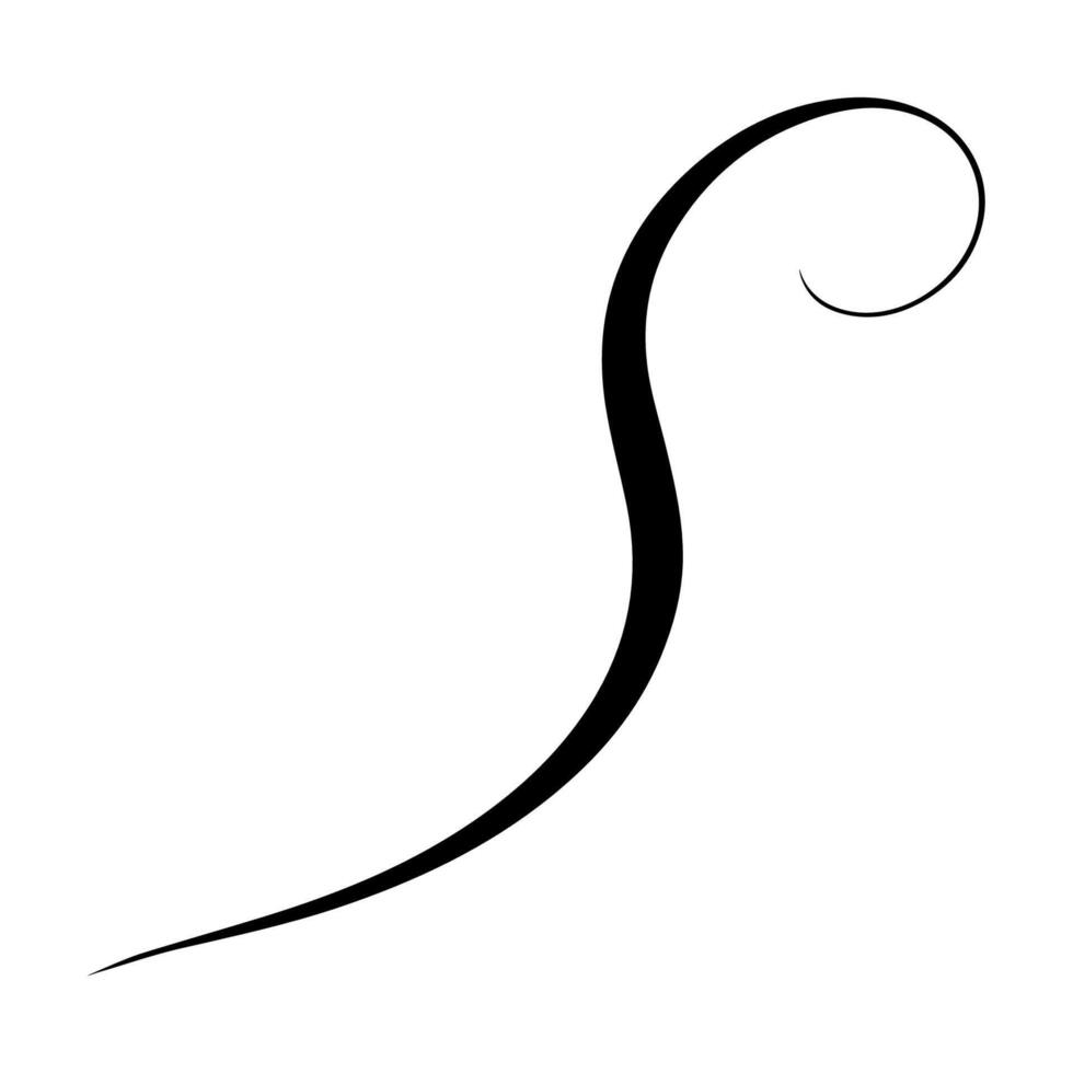Graceful black swirl flourish perfect for vintage, elegant design elements vector