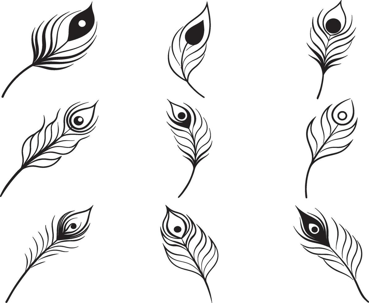 Stylish Black and White Peacock Feathers for Elegant Illustrations vector