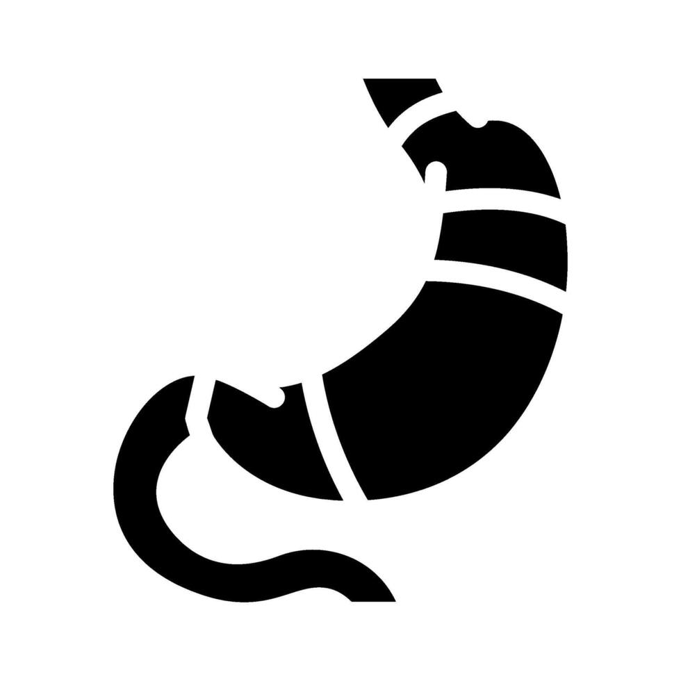 stomach anatomy gastroenterologist glyph icon illustration vector