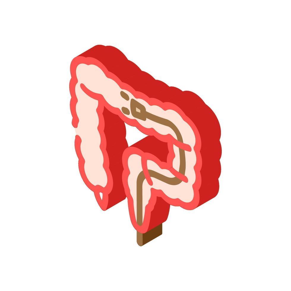 colonoscopy examination isometric icon illustration vector