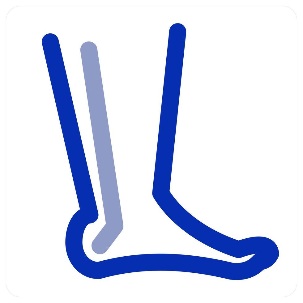 Leg and joint vector