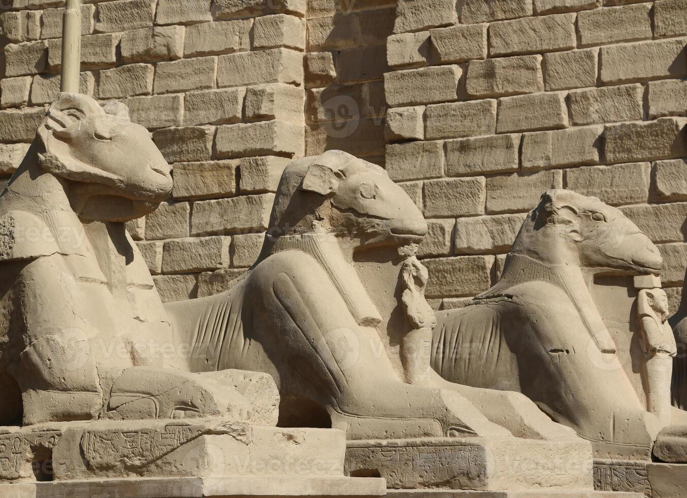 Ancient Ram Statues of Karnak photo