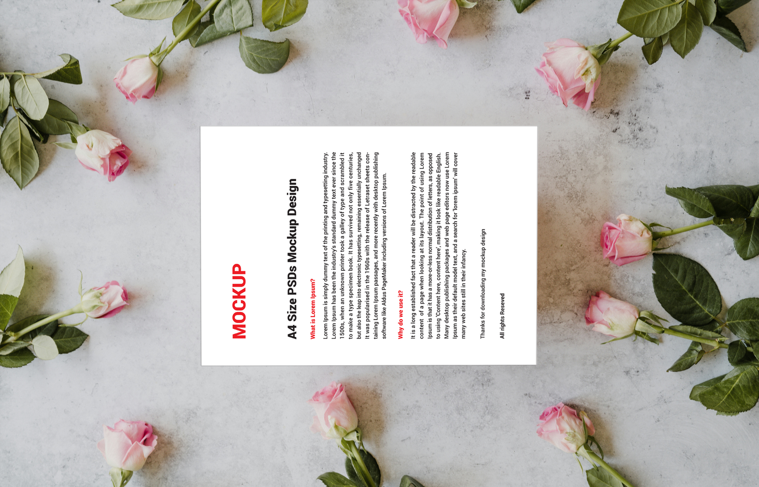 Premium Latest First rate Menus posters pamphlets invoices Letterheads fax covers flyers Leaflet or Letter Mockup psd