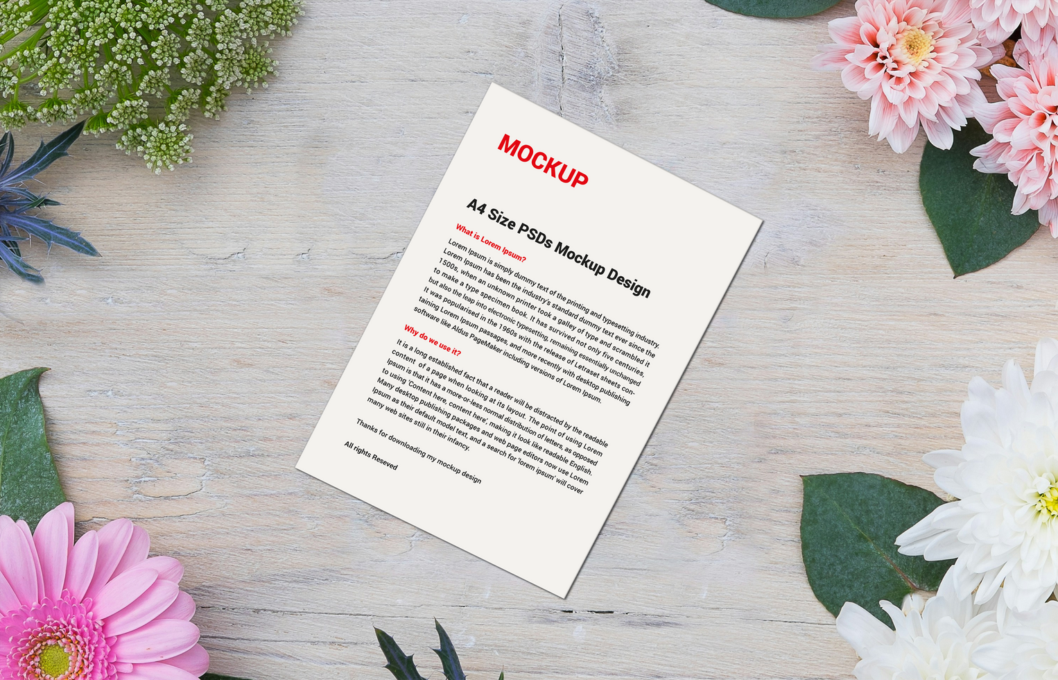 Premium Outstanding Menus posters pamphlets invoices Letterheads fax covers flyers Leaflets or Letter Mockup psd