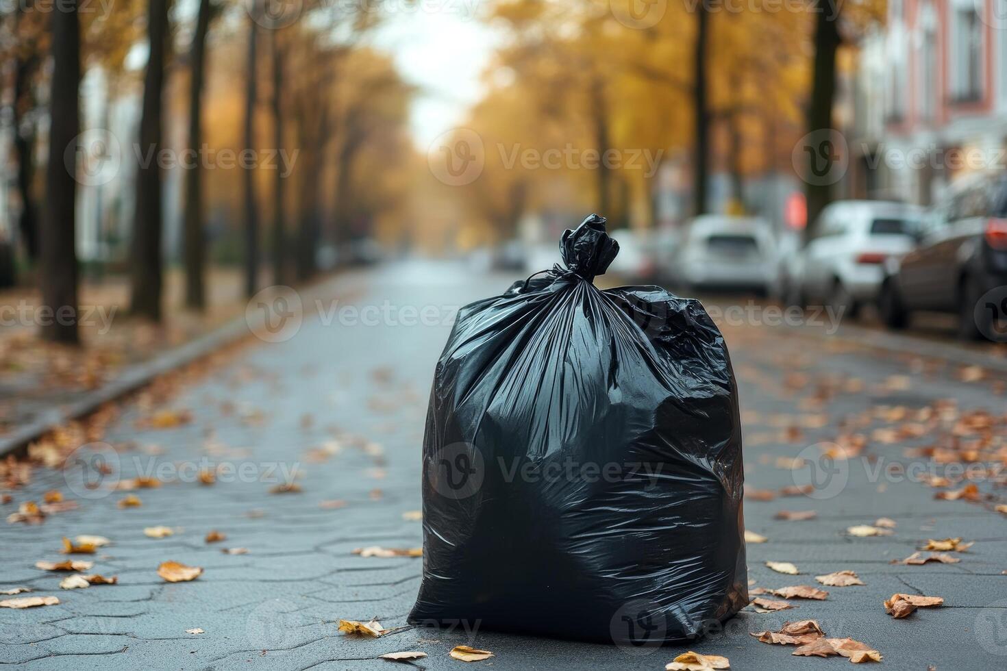 A black garbage bag placed on a street surrounded by autumn leaves and parked cars. photo