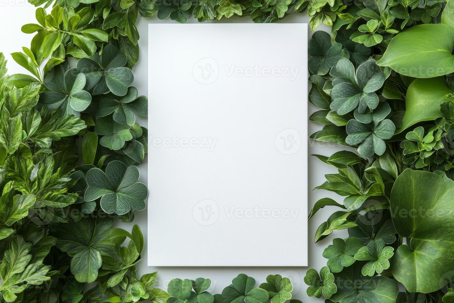A blank white canvas surrounded by lush green leaves, ideal for design or presentation. photo
