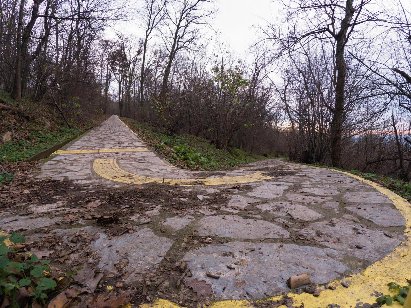 A stone-paved pathway winds through a quiet forest, marked by faded yellow lines that guide travelers along its route. The path appears well-worn, with fallen leaves and patches of dirt. photo