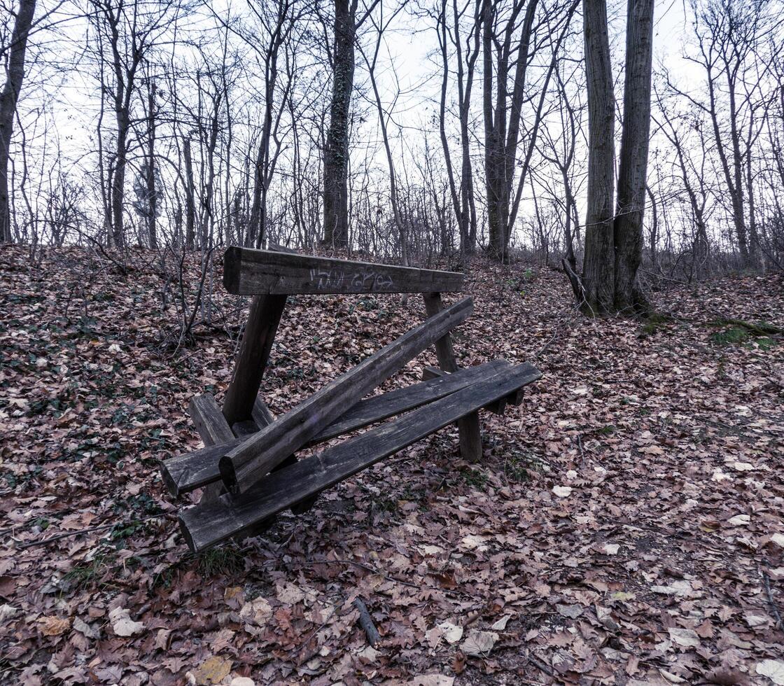 A damaged wooden bench sits abandoned in a leaf-covered forest, surrounded by bare trees, evoking a sense of decay, solitude, and the passage of time. photo