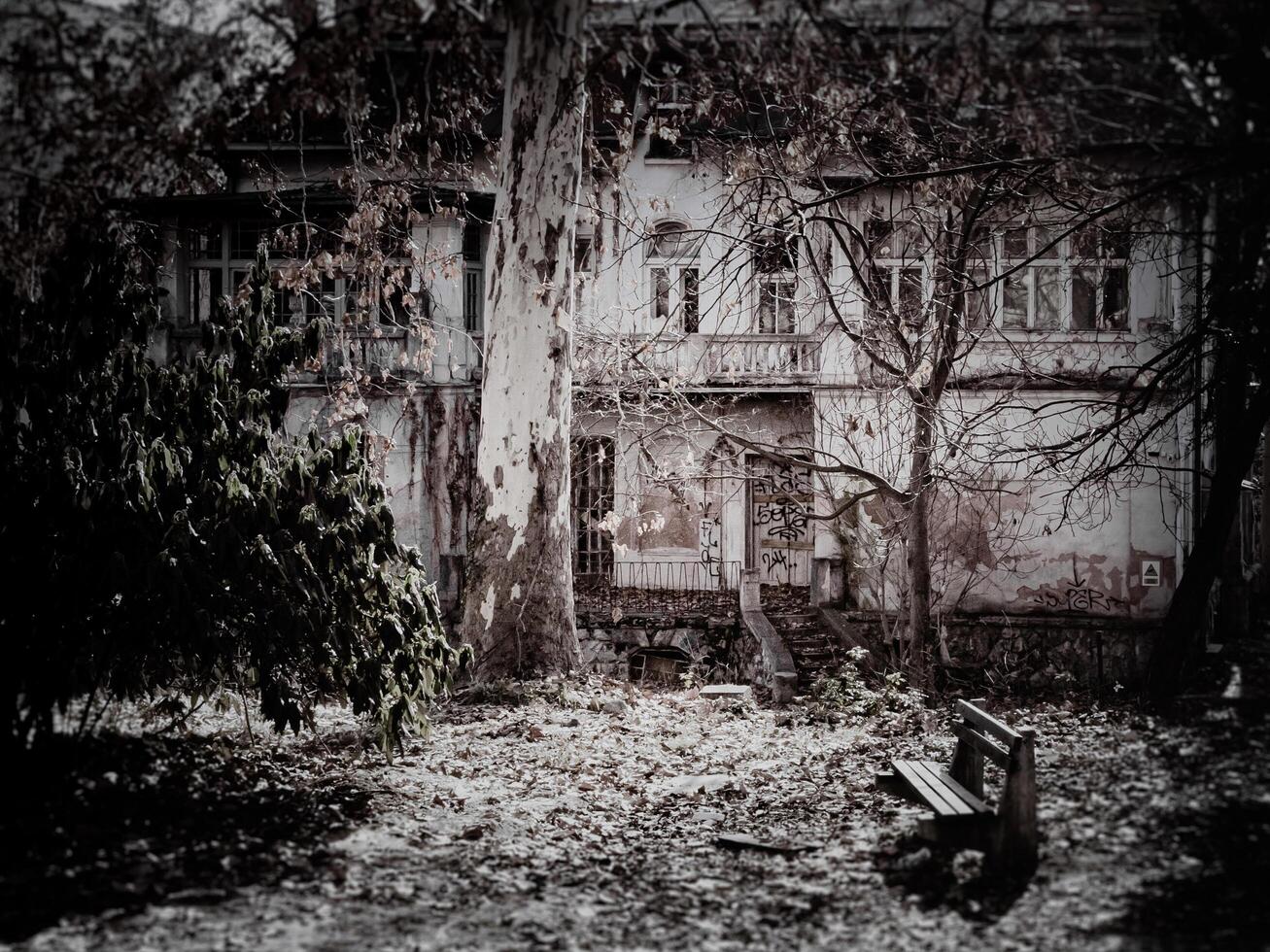 A decaying old house stands behind a veil of autumn leaves, surrounded by overgrown vegetation and a weathered bench, evoking nostalgia and mystery. photo