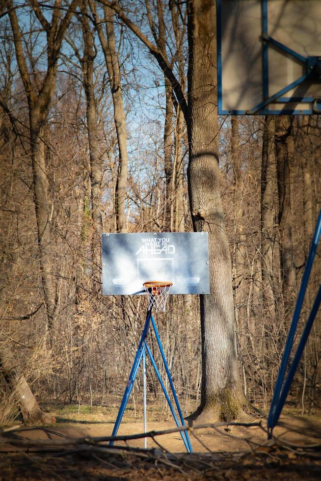 A weathered basketball hoop stands in a peaceful forest clearing, bathed in warm sunlight, blending sports and nature in a raw, nostalgic outdoor setting. photo