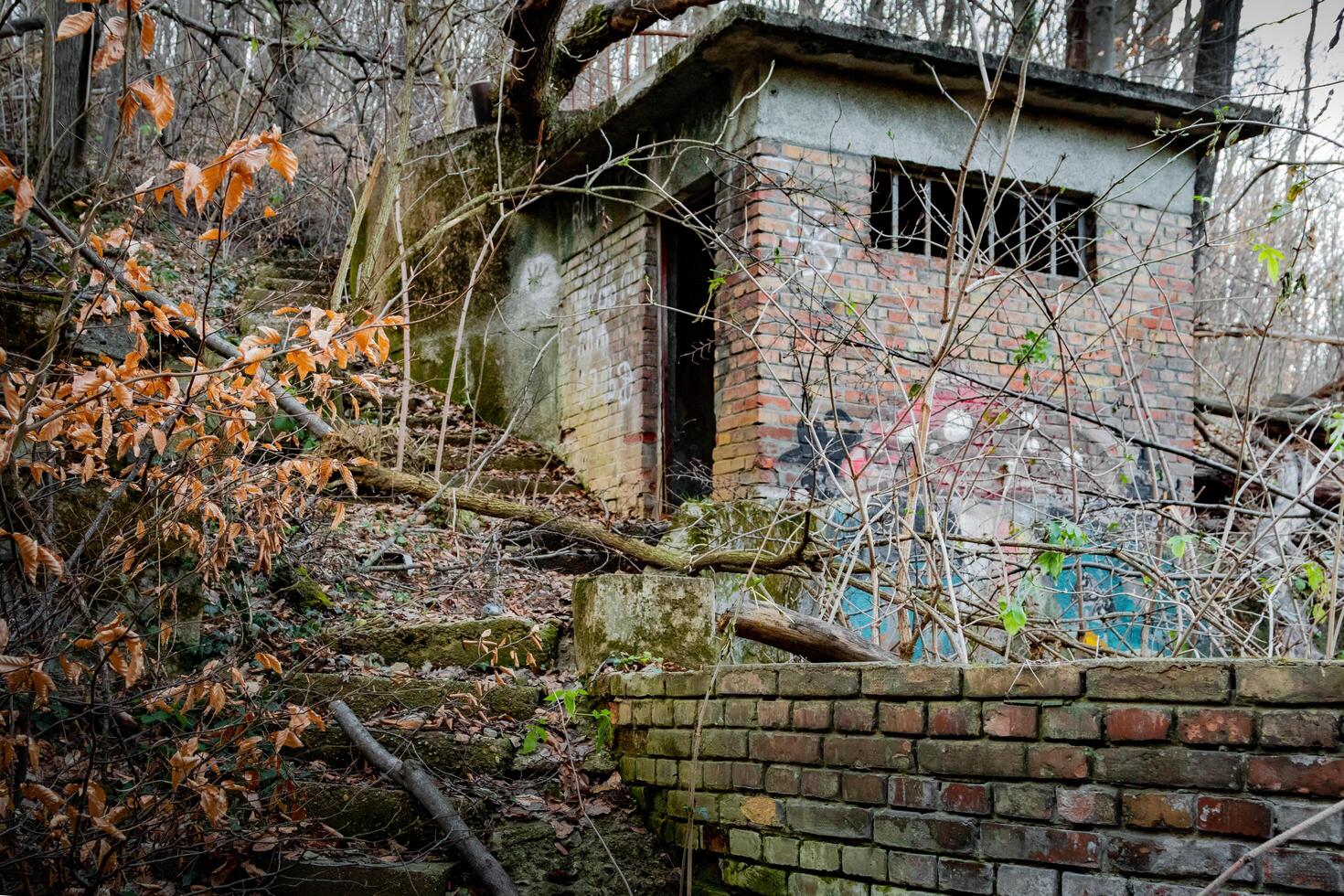 An old, decaying brick structure with graffiti, broken windows, and overgrown vegetation, blending with the forest as time reclaims it. A haunting yet captivating scene of urban decay. photo