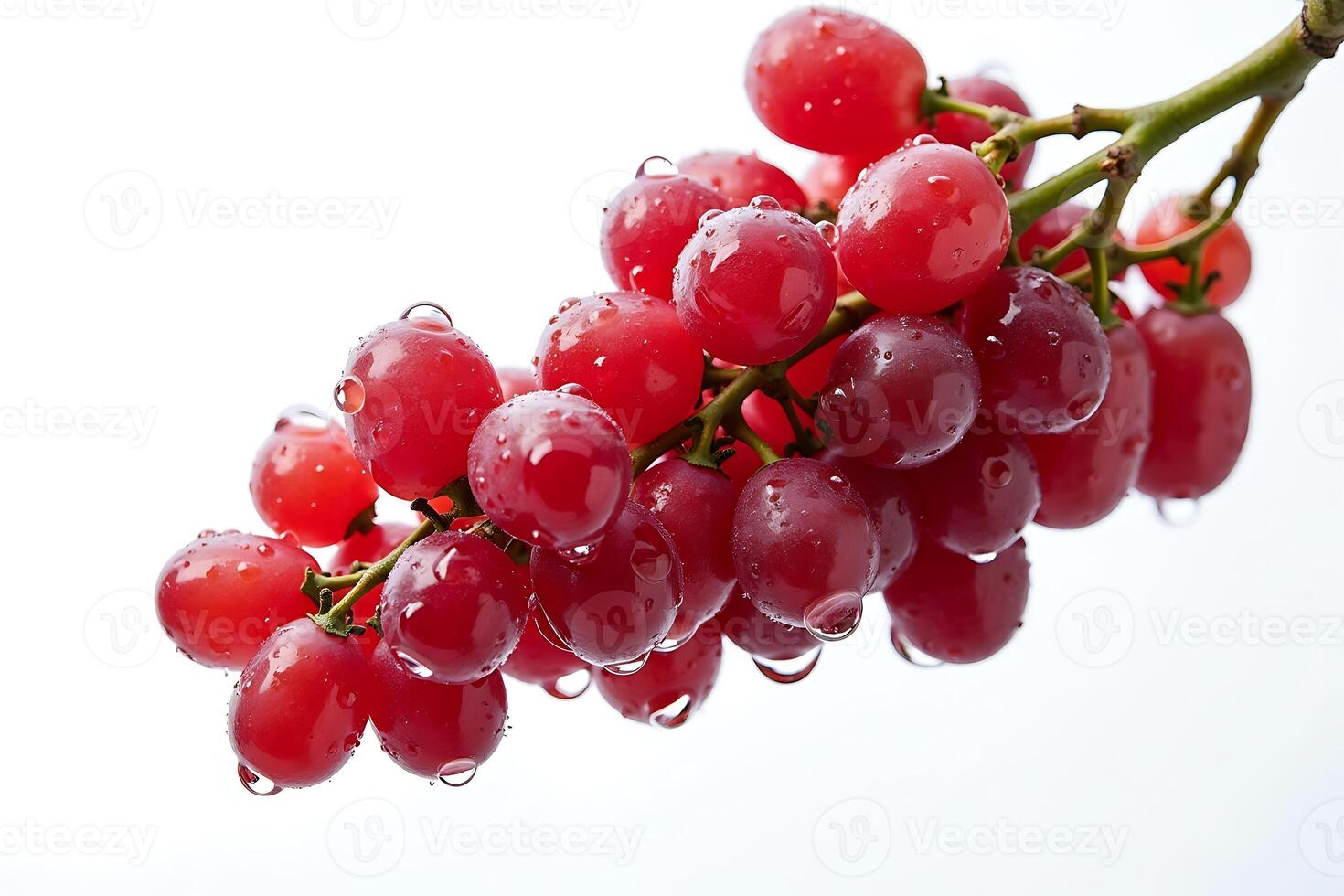 Fresh red grapes glistening ready for a healthy snack studio lit photo