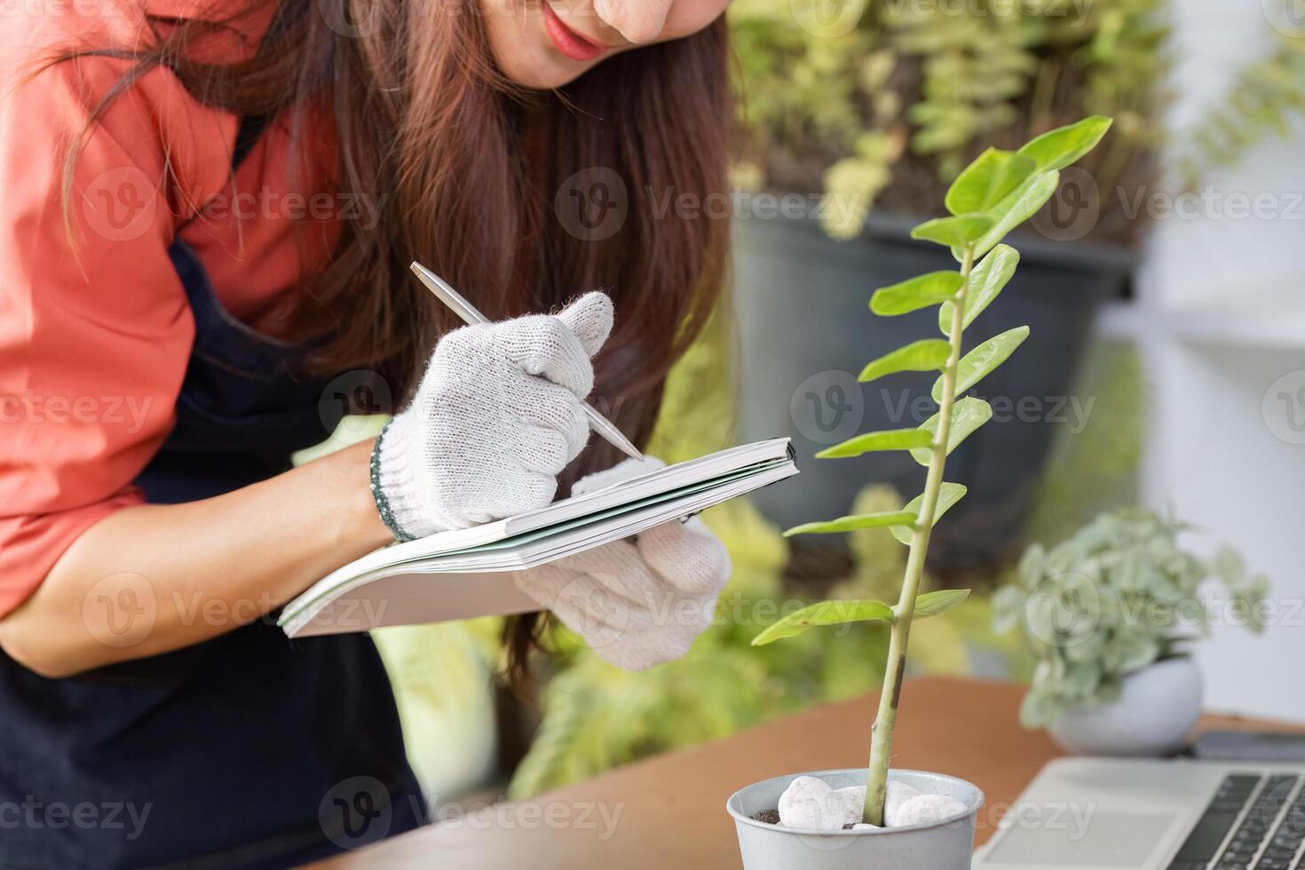 Journaling and Plant Observation. A woman records observations about her potted plant for sustainable gardening. photo