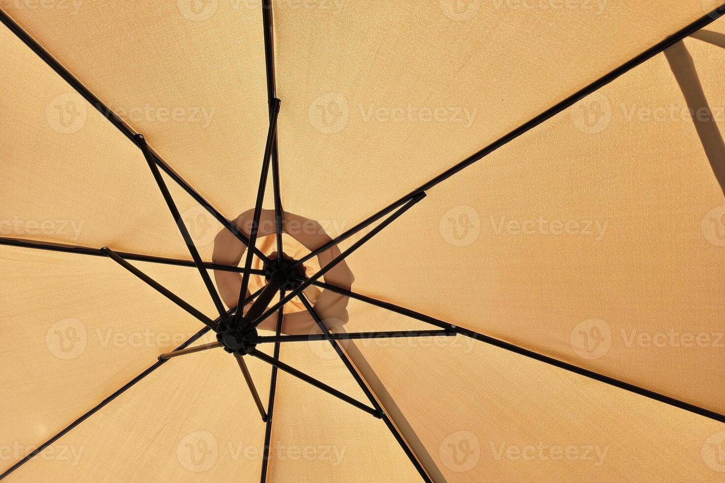 Close up Under Big Parasol. photo
