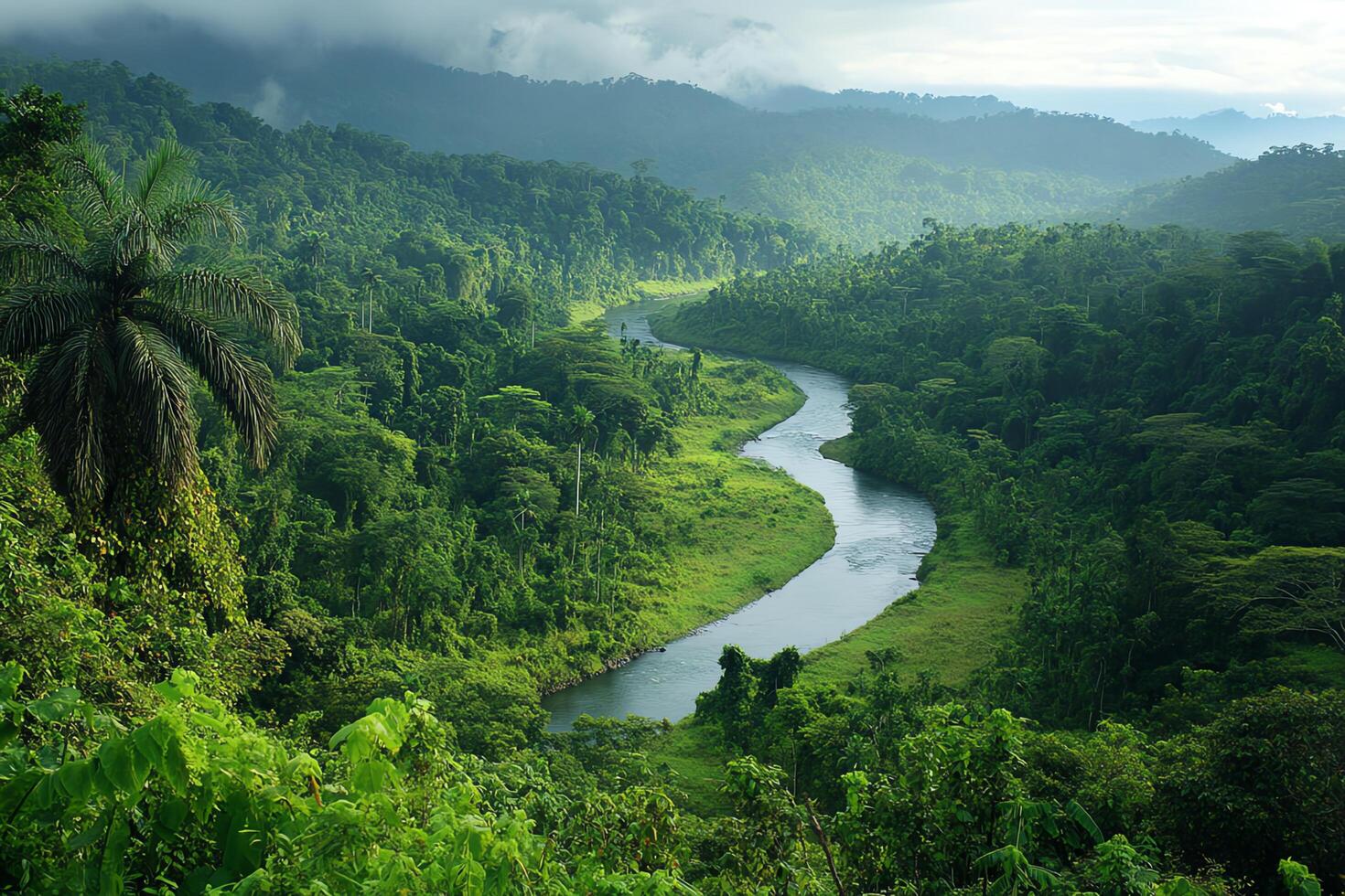 Aerial View of a Winding River Through a Lush Green Tropical Rainforest Valley photo
