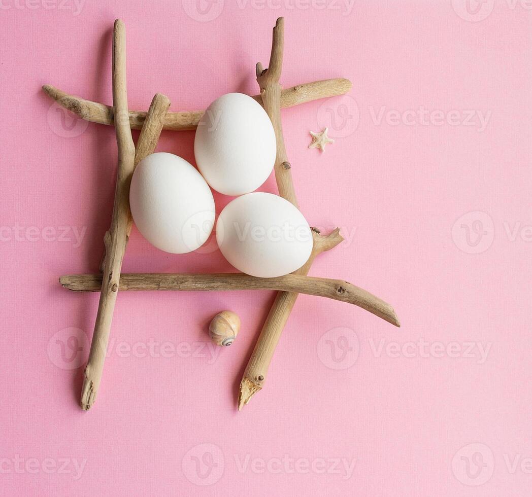 White eggs in an Easter composition with starfish and sticks from the sea. pink photo