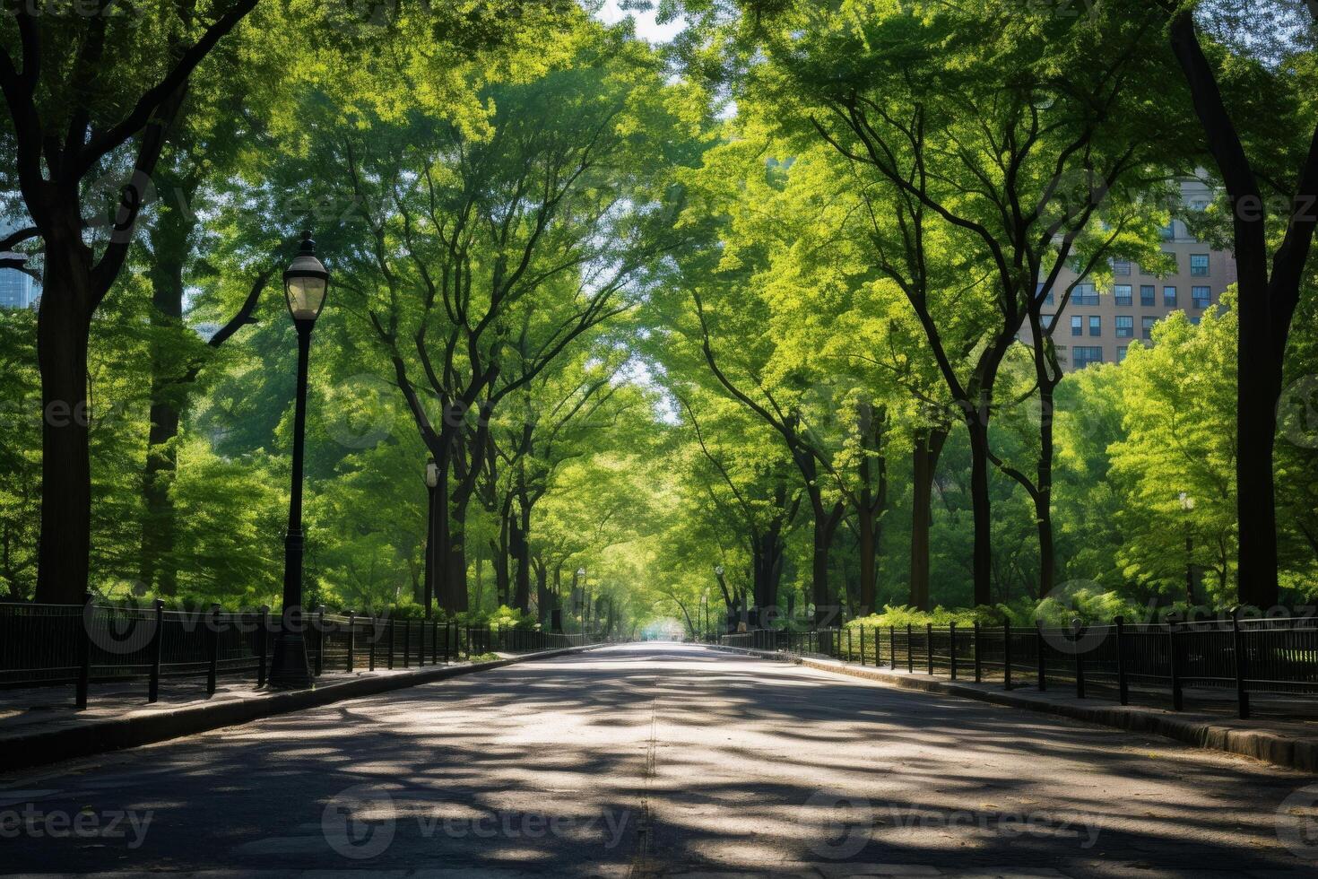 Serene Tree-Lined Avenue In The Heart Of The City With Soft Morning Light. photo