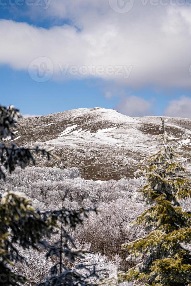 Snowy mountain peak towering over frozen forest under blue sky photo