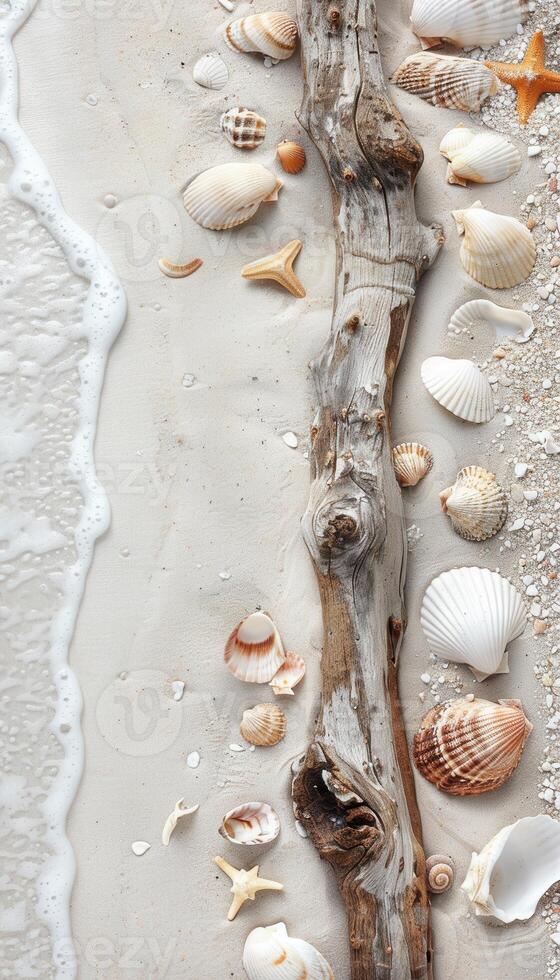Rustic Beach Border with Driftwood and Seashells - Coastal Design for Print or Poster photo
